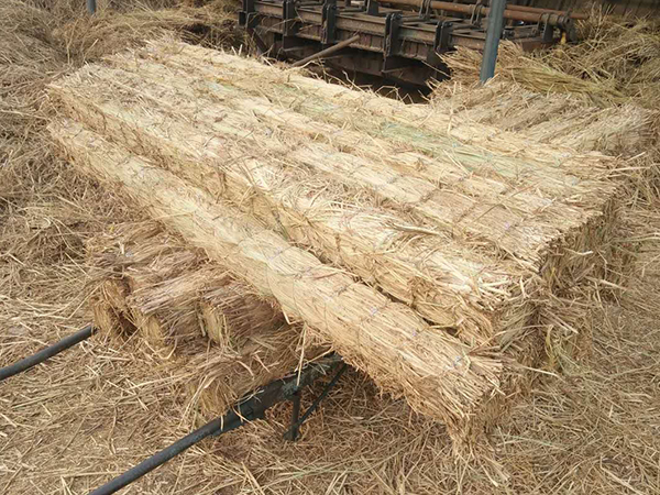 使用草支垫这几点不可忽视